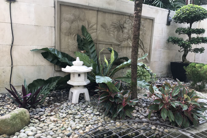 Ecoscape Garden Lanscape